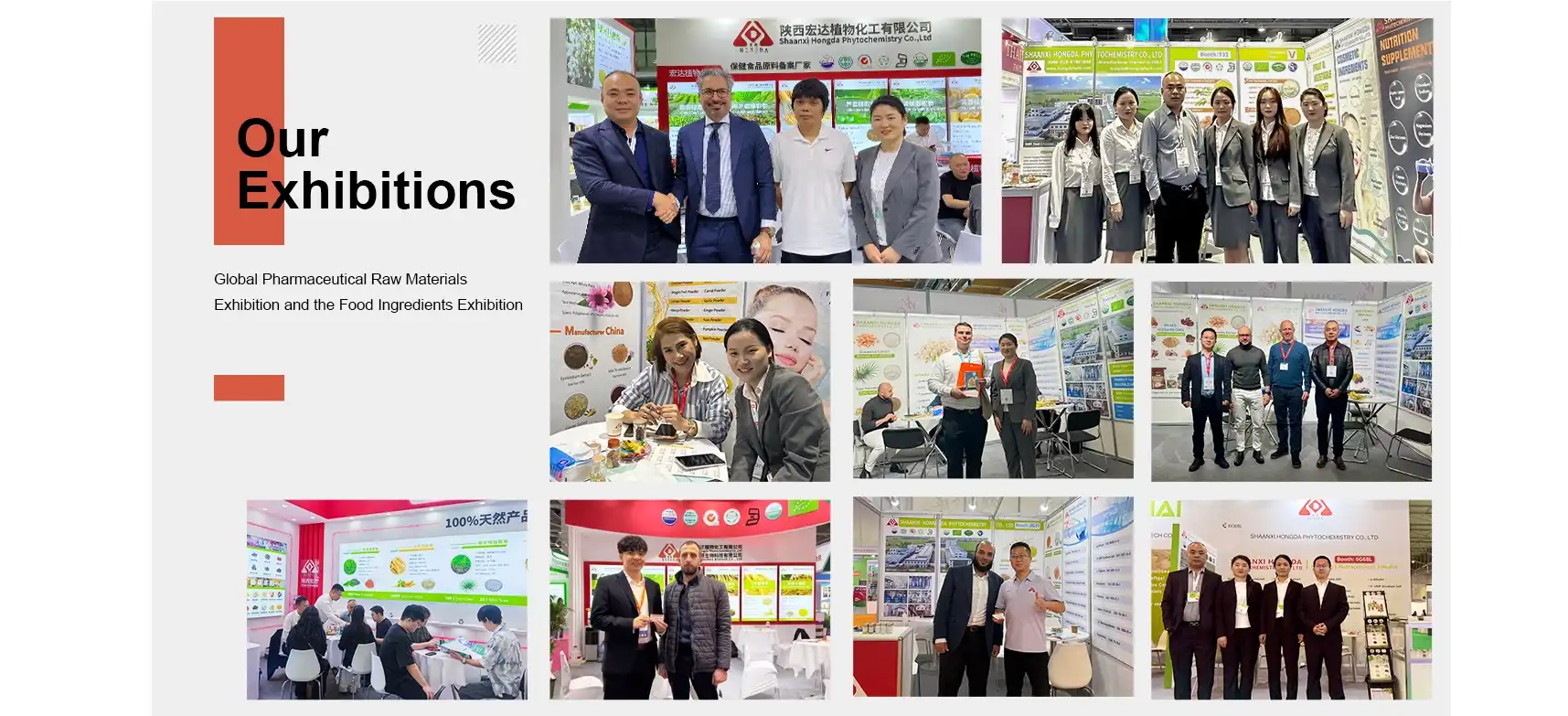 Exhibitions