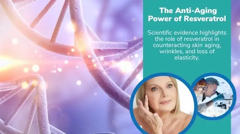 Liposomal resveratrol powder for skin Liposomal resveratrol powder for skin