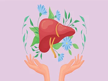 How Do Milk Thistle Extract Capsules Support Liver Health?