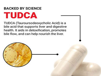 Does TUDCA Powder Improve Bile Flow?