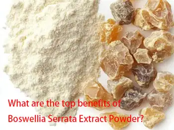 What are the top benefits of Boswellia Serrata Extract Powder?