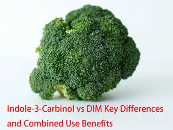 Indole-3-Carbinol vs DIM Key Differences and Combined Use Benefits