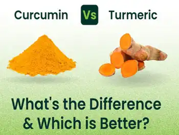 Curcumin 95 Powder: Superior to Standard Turmeric?