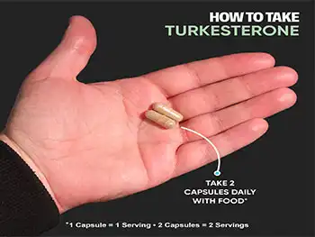 How to Choose the Best Turkesterone Capsules Supplier?