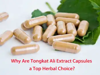 Why Are Tongkat Ali Extract Capsules a Top Herbal Choice?