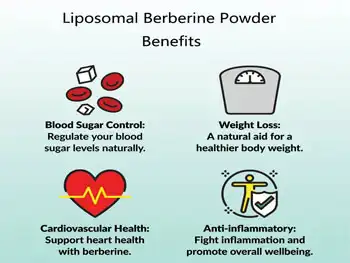Liposomal Berberine Powder for Supplements: Key Applications
