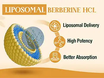 Why Choose Liposomal Berberine Powder for Better Absorption?