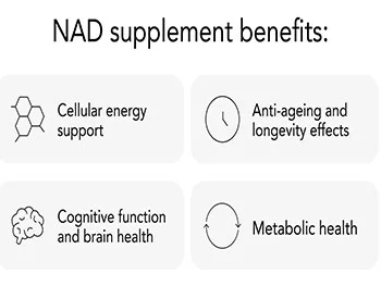 Can Liposomal NAD+ Powder Help Reduce Fatigue and Boost Vitality?