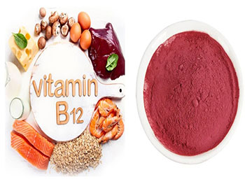 What are the main sources of Cyanocobalamin powder?