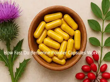 How Fast Do Berberine Powder Capsules Work?