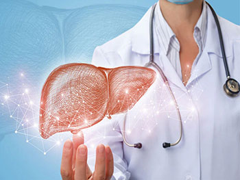 Is TUDCA Effective for Gallstone Prevention?