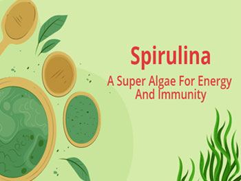 Does Organic Spirulina Powder Support Gut Health?