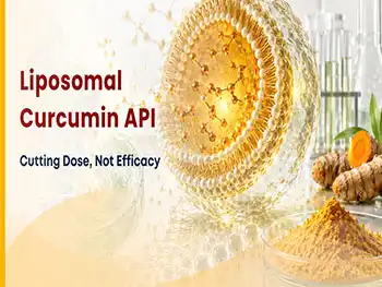 How Can Liposomal Curcumin Powder Support Daily Wellness?