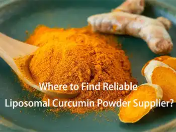 Where to Find Reliable Liposomal Curcumin Powder Supplier?