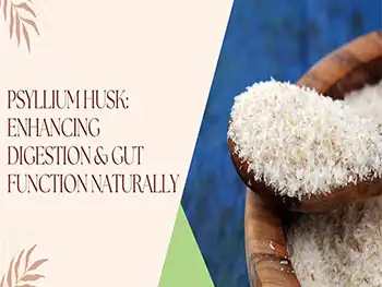 What Makes Pure Psyllium Husk Powder Effective for Gut Health?