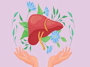 What Makes Liposomal Silymarin Powder the Gold Standard for Liver OEM?