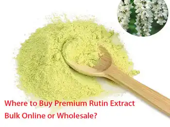 Where to Buy Premium Rutin Extract Bulk Online or Wholesale?