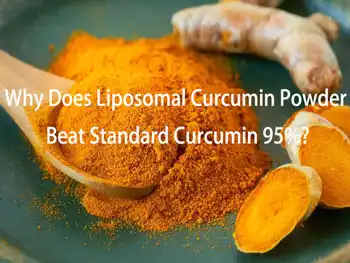 Why Does Liposomal Curcumin Powder Beat Standard Curcumin 95%?