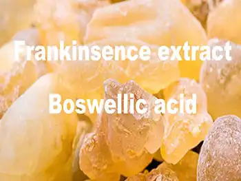 What are the main active compounds in Boswellia Serrata Extract Powder？