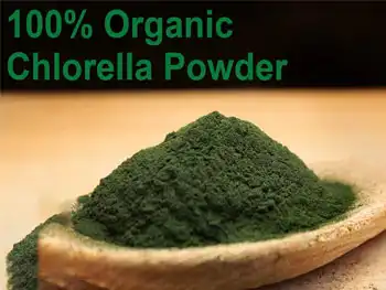 What are the key nutritional benefits of Organic Chlorella Powder？