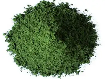 How is Organic Chlorella Powder produced and processed for optimal nutrients？