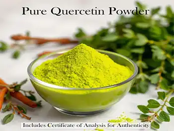 Differences Between Aglycone and Glycoside Forms in Quercetin Powder Products