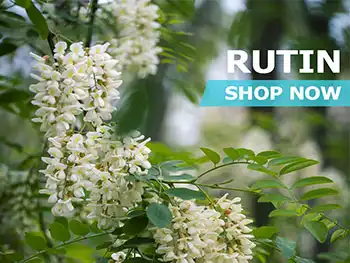 Antioxidant Mechanisms of Rutin Extract Against Oxidative Stress