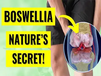 Anti-Inflammatory Mechanisms of Boswellia Serrata Extract Powder in Osteoarthritis