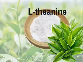 Green Tea Extract L-theanine: Synergistic Effects on Stress and Anxiety Reduction
