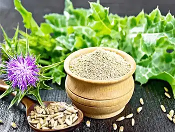What are the main bioactive components of Milk Thistle Extract Powder？