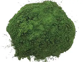 Organic Chlorella Powder: Nutrient Profile & Key Phytonutrients