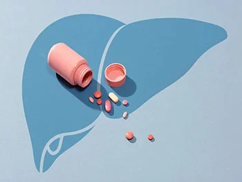 How is Milk Thistle Extract Powder used in liver health treatments？