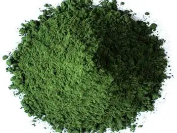 Organic Chlorella Powder Role in Detoxification & Heavy Metal Removal