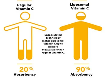Why Choose Bulk Liposomal Vitamin C Powder Over Regular C?