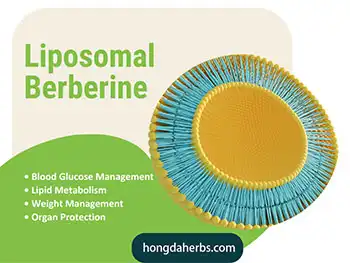 What Makes Liposomal Berberine Powder Gut-Friendly vs Standard?