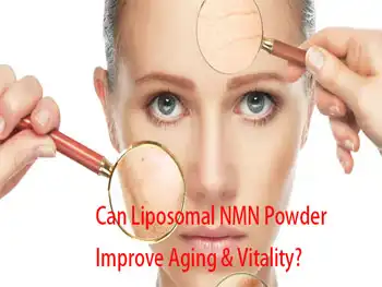 Can Liposomal NMN Powder Improve Aging & Vitality?