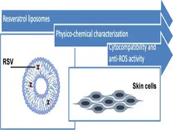 Is Liposomal Resveratrol Powder Worth the Upgrade?
