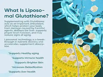 Why Choose Liposomal Glutathione Powder for Detox Support?