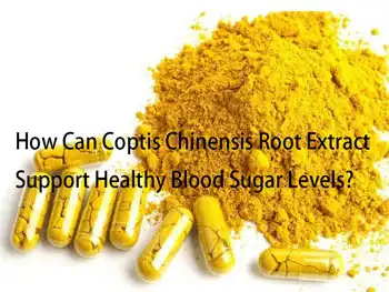 How Can Coptis Chinensis Root Extract Support Healthy Blood Sugar Levels?