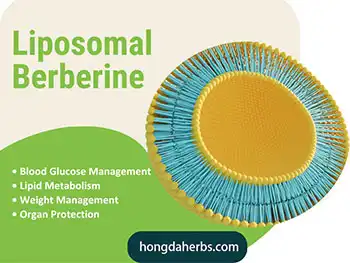 Should You Switch to Liposomal Berberine Powder?