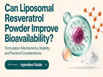 Can Liposomal Resveratrol Powder Improve Bioavailability?