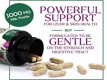 What Makes Premium Milk Thistle Extract Capsules Stand Out?