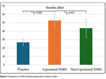 How Stable Is Liposomal NMN Powder in Finished Products?