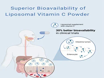 Liposomal Vitamin C Powder Bulk – Boost Immune Support Sales