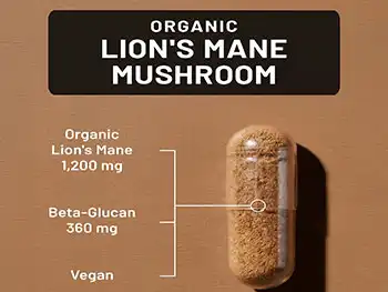 How to Choose a Hericium Erinaceus Capsule Supplier