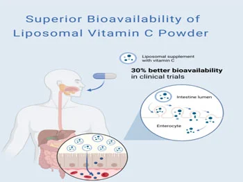 Can Bulk Liposomal Vitamin C Powder Improve Absorption Rates?