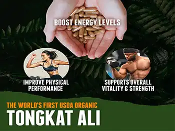 Tongkat Ali Extract Capsules for Energy and Focus Support?
