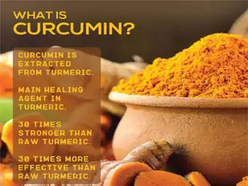 Best Curcumin Powder: High-Purity Extract with No Fillers or Additives