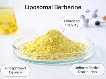 Why Is Liposomal Berberine Powder Gaining Market Attention?