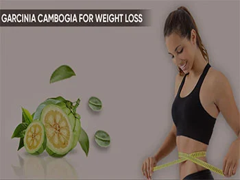 Organic Garcinia Cambogia Powder: Premium Fat‑Blocking Botanical for Supplements